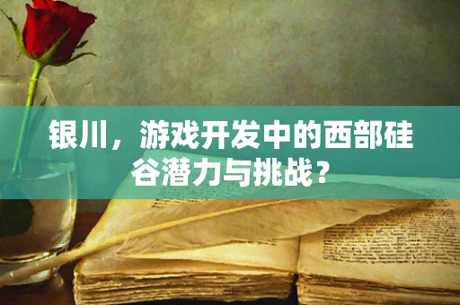 银川，游戏开发中的西部硅谷潜力与挑战？