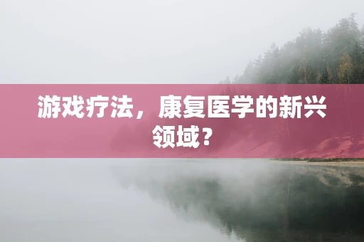 游戏疗法，康复医学的新兴领域？