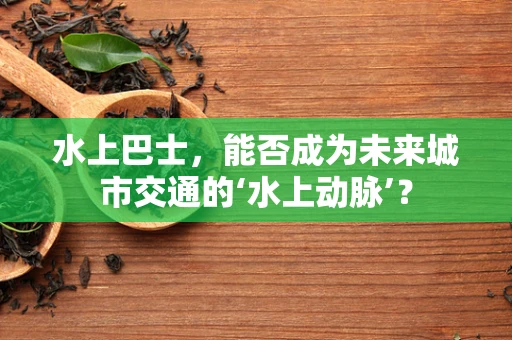 水上巴士，能否成为未来城市交通的‘水上动脉’？