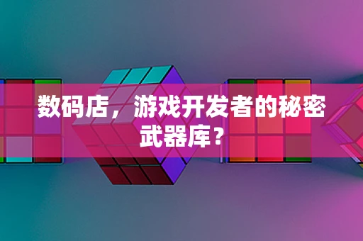 数码店，游戏开发者的秘密武器库？