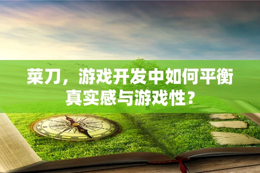 菜刀，游戏开发中如何平衡真实感与游戏性？