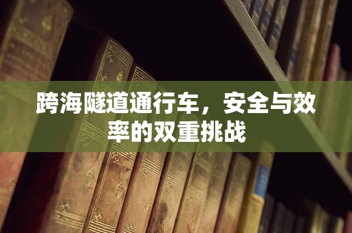 跨海隧道通行车，安全与效率的双重挑战