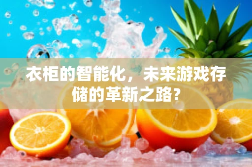 衣柜的智能化，未来游戏存储的革新之路？