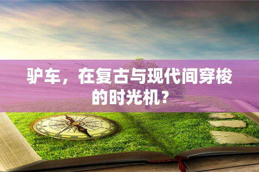 驴车，在复古与现代间穿梭的时光机？