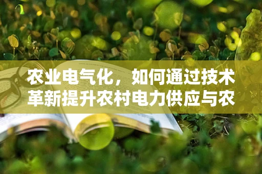 农业电气化，如何通过技术革新提升农村电力供应与农业生产效率？